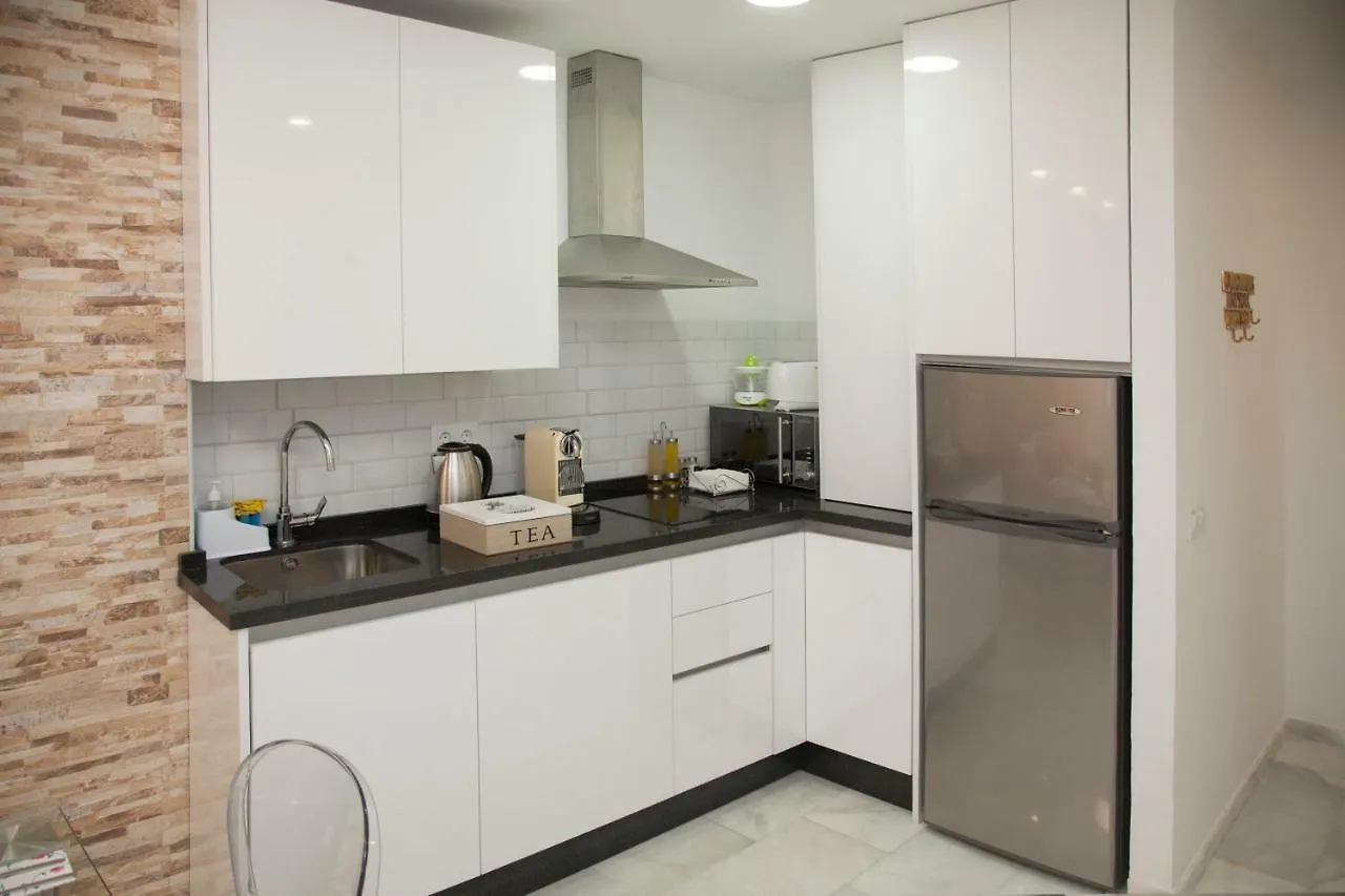 Malaga Pena Historical Centre Apartment Spain